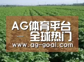 种植基地五(图1)