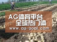 种植基地七(图1)