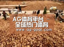 种植基地二