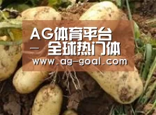 产品展示标题2