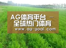 种植基地四
