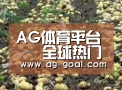 种植基地八(图1)