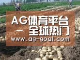 种植基地八