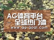 种植基地七