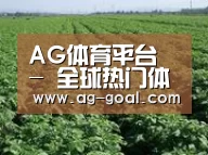 种植基地五