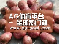 产品展示标题5(图1)