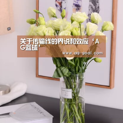 关于传输线的界说和效应‘AG篮球’(图2) AG赛事
