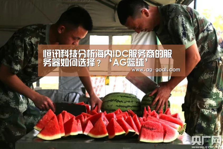 恒讯科技分析海内IDC服务商的服务器如何选择?‘AG篮球’(图2) AG篮球