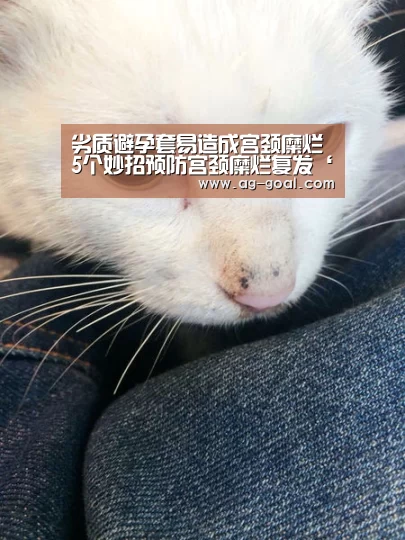 AG篮球
