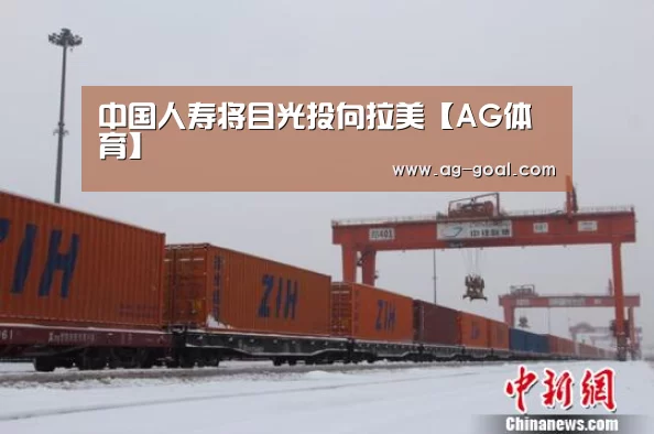 中国人寿将目光投向拉美【AG体育】(图1) AG足球