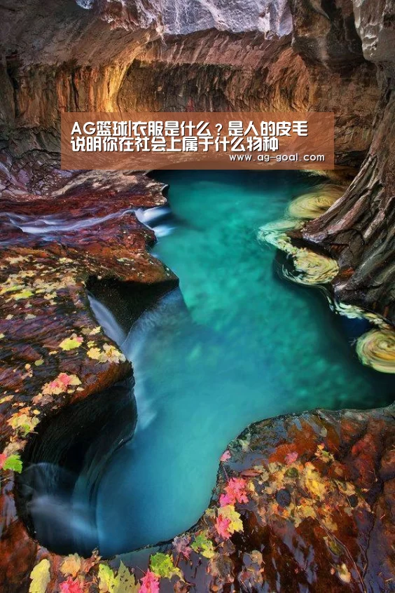 AG体育