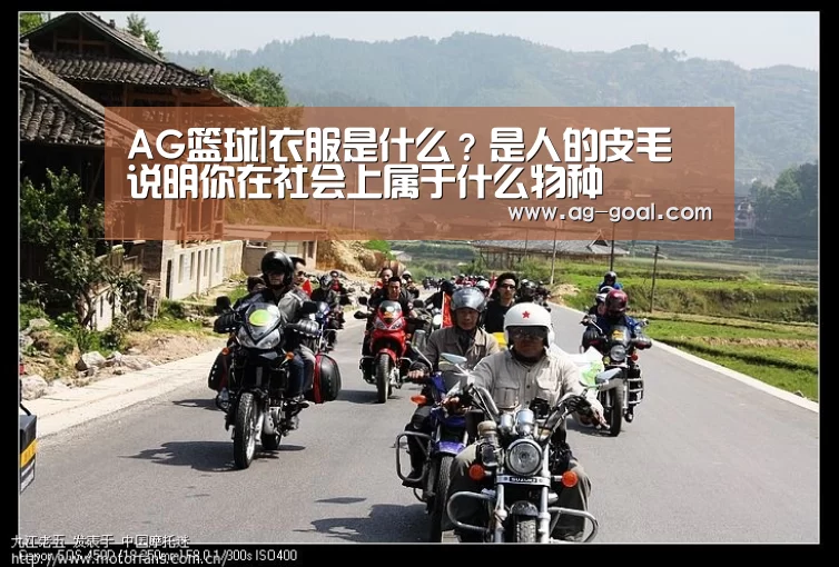 AG篮球