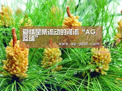 爱情是条流动的河流“AG篮球”(图1) AG赛事